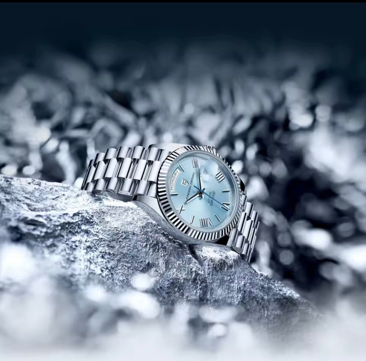Montre Pagani Design – Classe moderne et éclat glacial